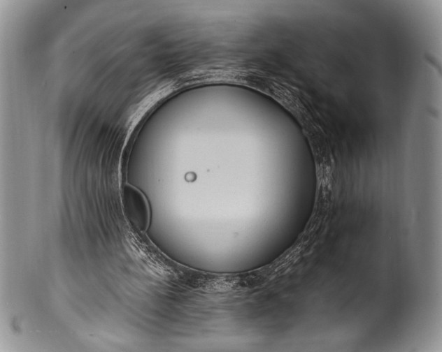 X0000100350148200806201549
