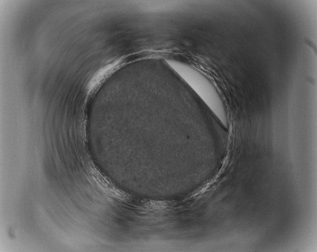 X0000100350149200806201549