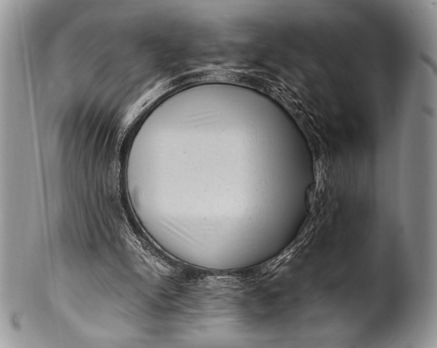 X0000100350150200806201549