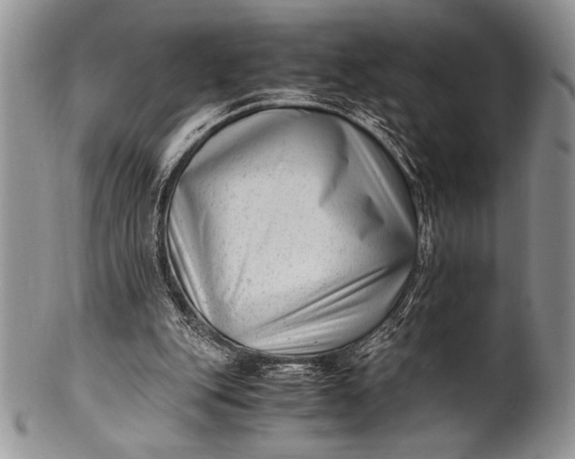 X0000100350151200806201549