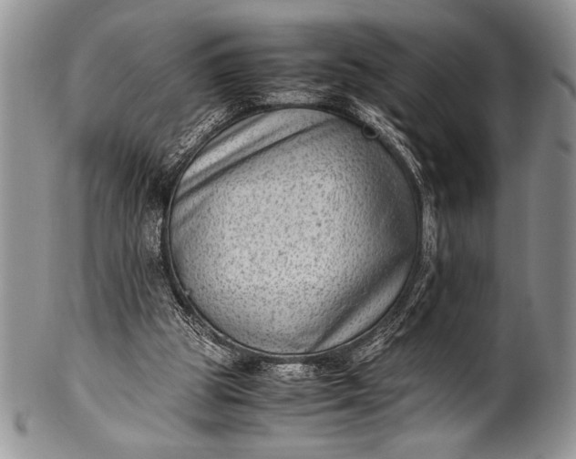X0000100350153200806201549