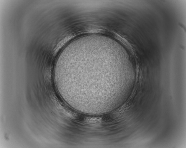 X0000100350155200806201549
