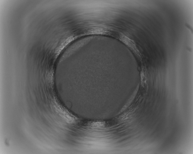 X0000100350156200806201549
