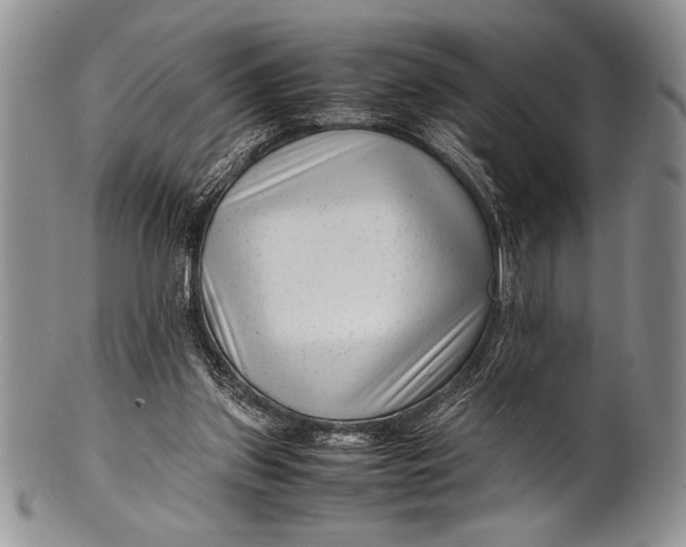 X0000100350157200806201549