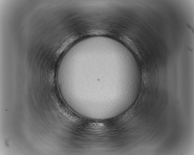 X0000100350159200806201549