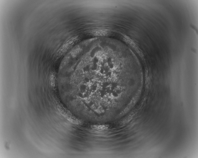 X0000100350161200806201549