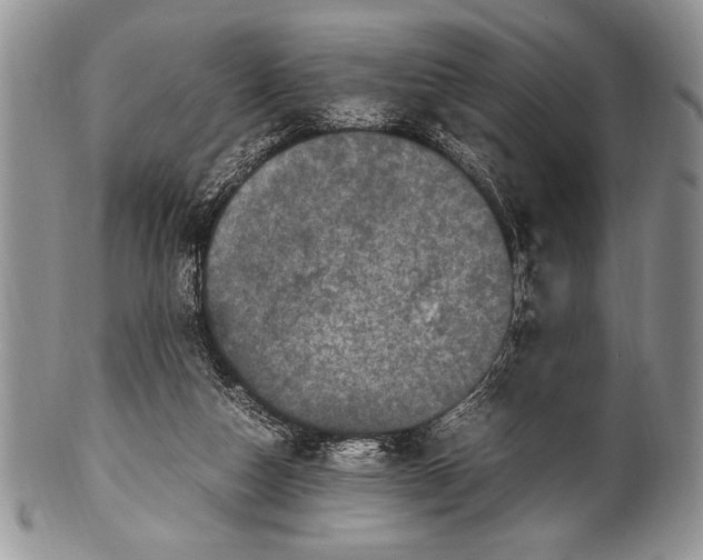 X0000100350162200806201549