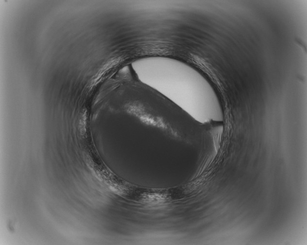 X0000100350163200806201549