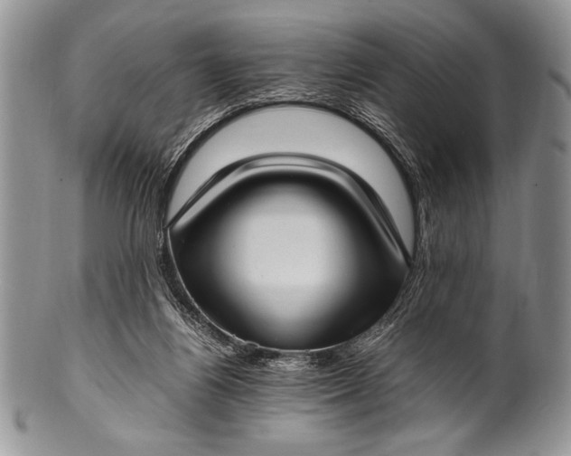 X0000100350164200806201549