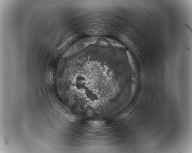 X0000100350165200806201549