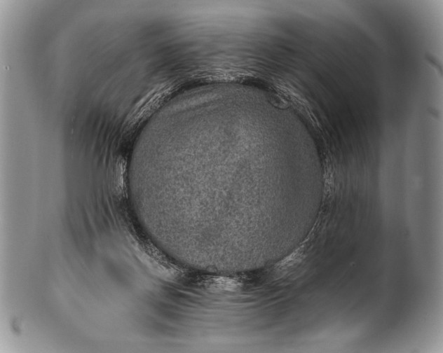 X0000100350166200806201549