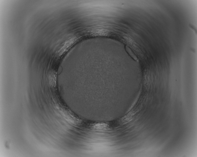 X0000100350168200806201549