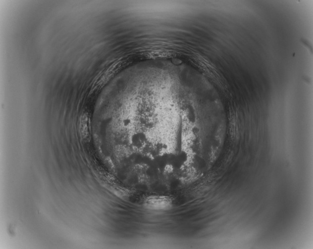 X0000100350169200806201549