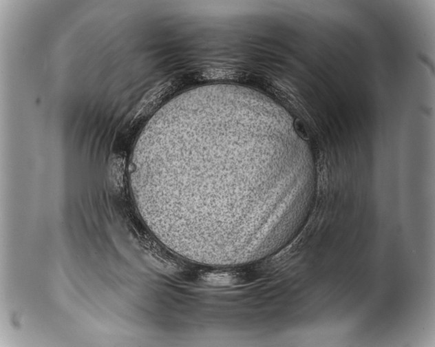 X0000100350171200806201549