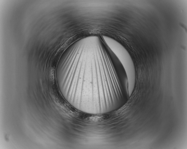 X0000100350172200806201549