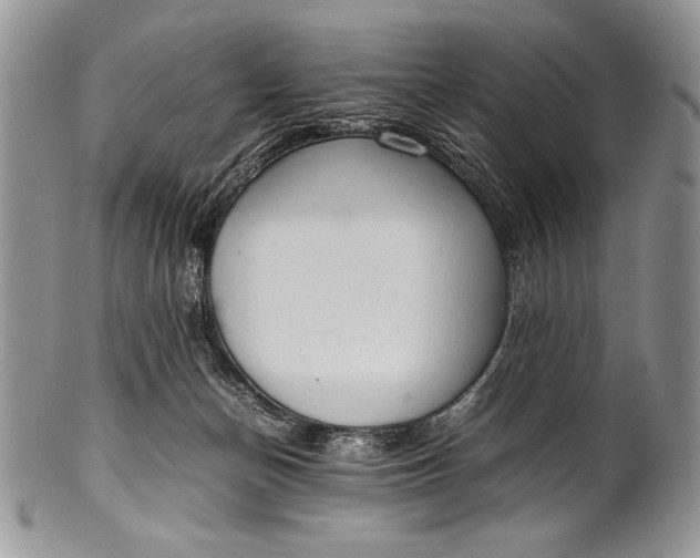 X0000100350174200806201549