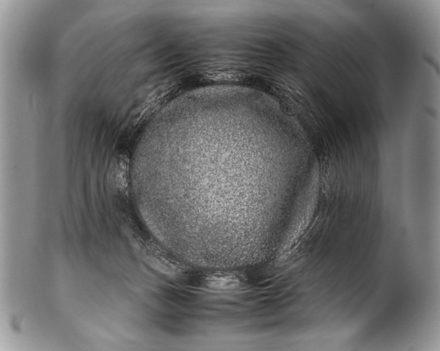 X0000100350175200806201549