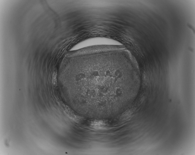 X0000100350177200806201549