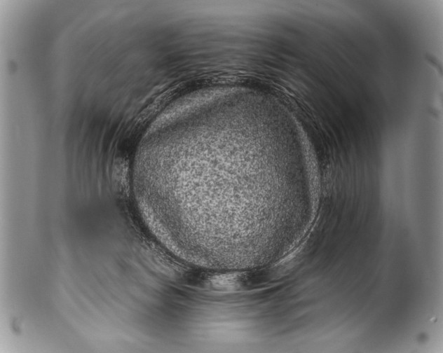 X0000100350178200806201549