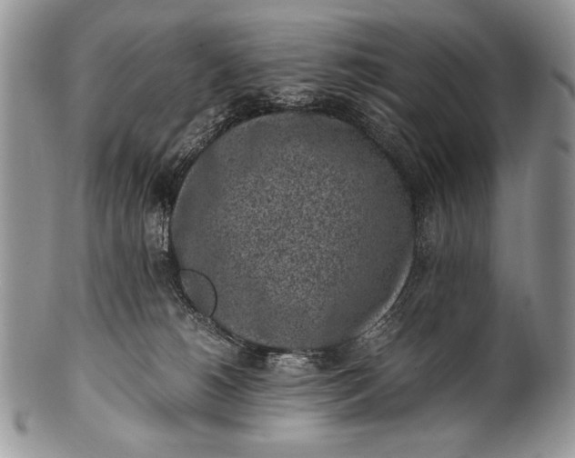 X0000100350180200806201550
