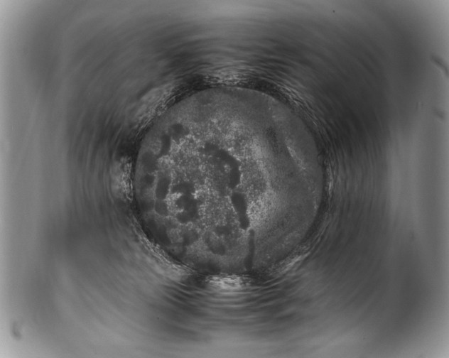 X0000100350181200806201550