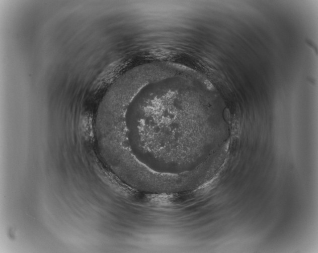 X0000100350182200806201550