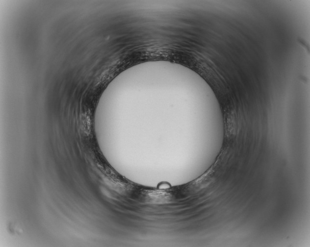 X0000100350183200806201550