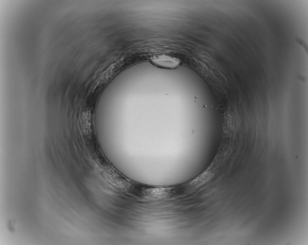 X0000100350184200806201550