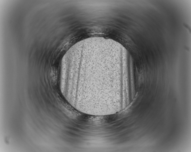 X0000100350186200806201550