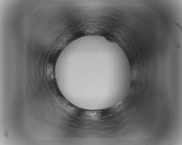 X0000100350187200806201550