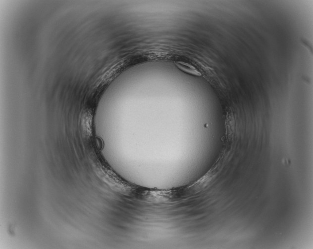 X0000100350188200806201550