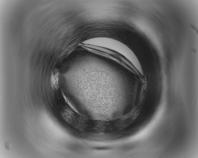 X0000100350190200806201550