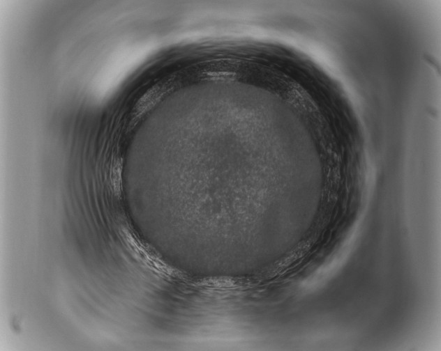 X0000100350194200806201549