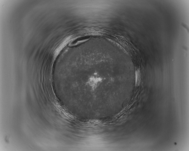 X0000100350195200806201549
