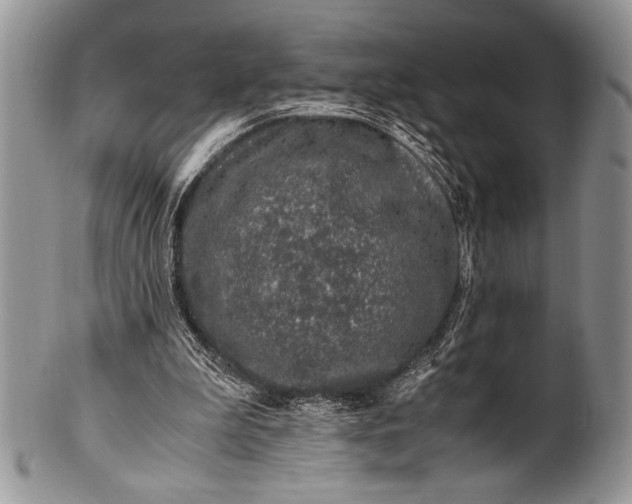 X0000100350199200806201549