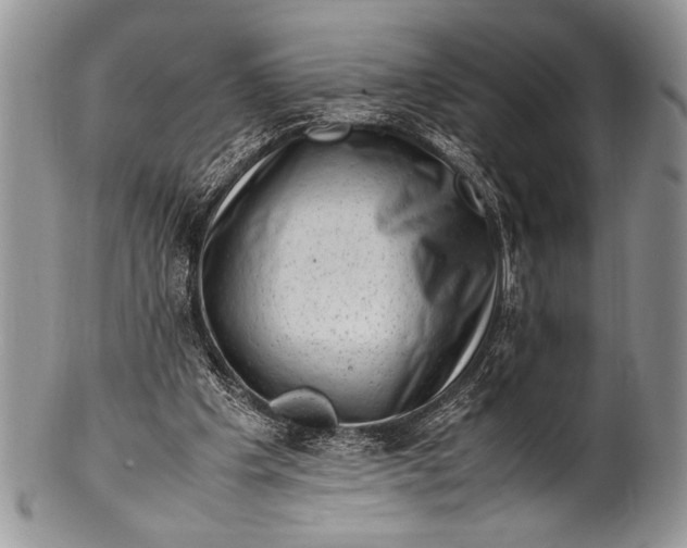 X0000100350201200806201549