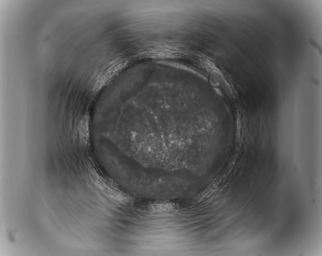 X0000100350202200806201549