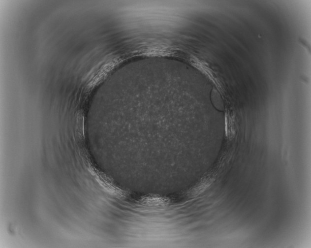 X0000100350205200806201549