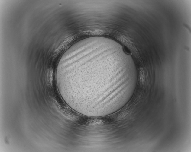 X0000100350206200806201549