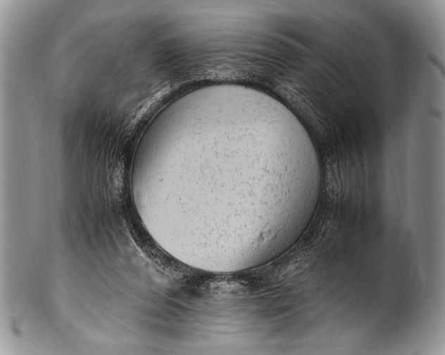 X0000100350208200806201549