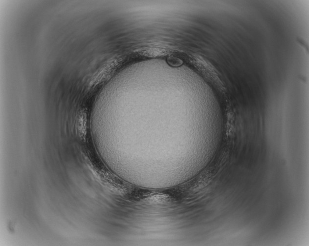 X0000100350210200806201549