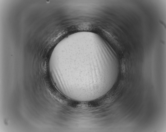 X0000100350211200806201549