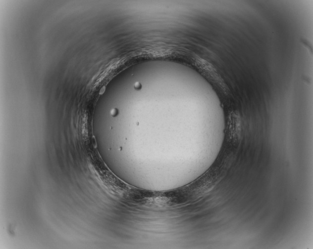 X0000100350212200806201549