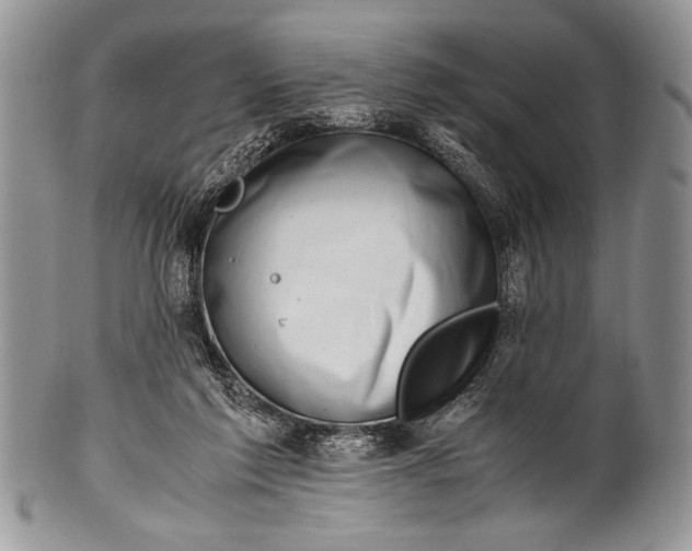 X0000100350213200806201549