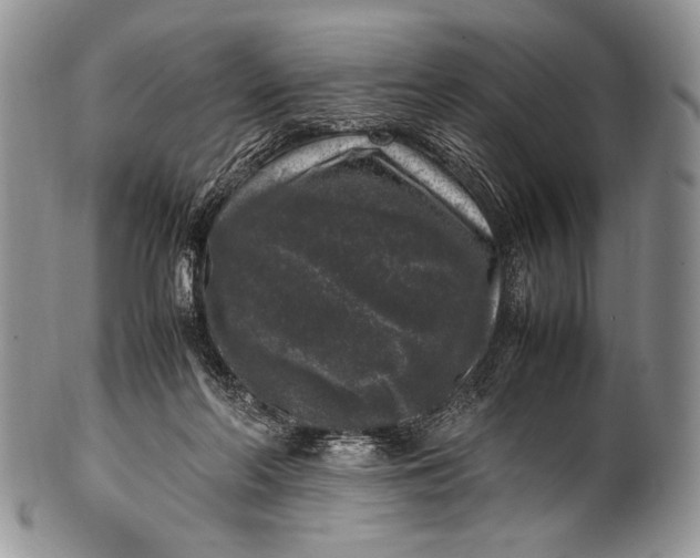 X0000100350214200806201549