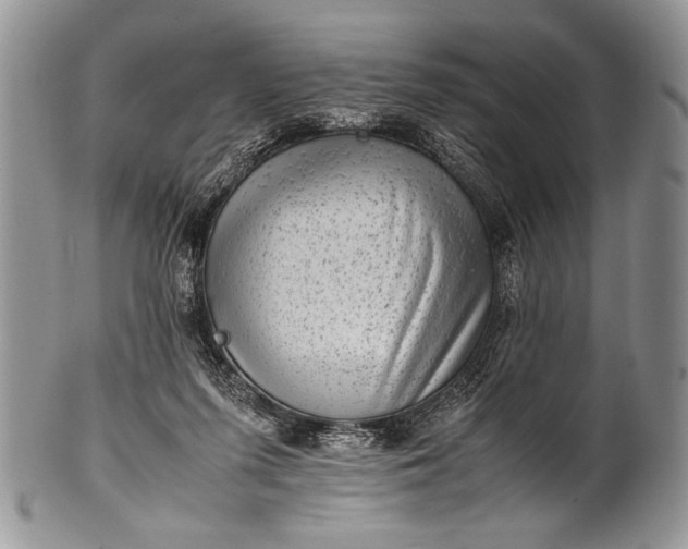 X0000100350215200806201549