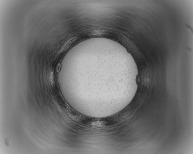 X0000100350216200806201549