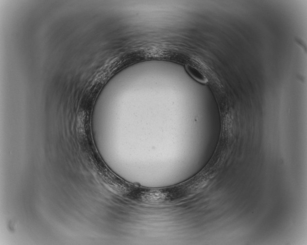 X0000100350217200806201549