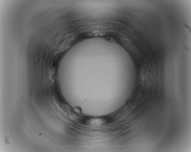 X0000100350218200806201549