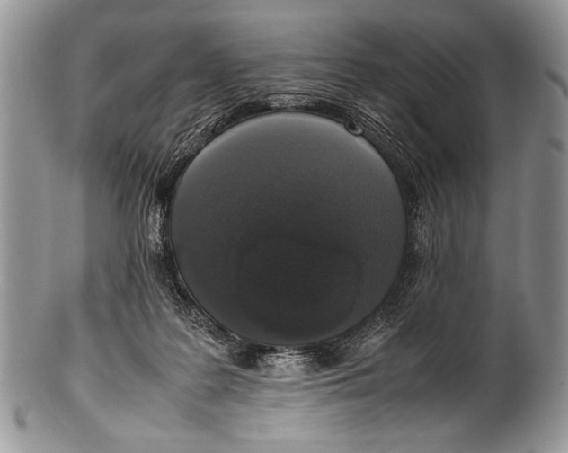 X0000100350219200806201549